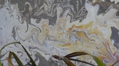 Zvolenčania sa sťažujú na zápach z rieky Slatina, úrady vraj problém ignorujú