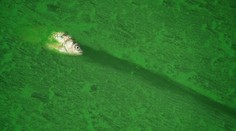 Vedci opísali, ako vyzerala najväčšia katastrofa v histórii Zeme