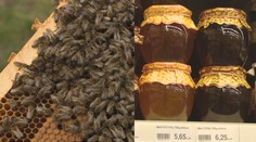 Včelári hlásia problémy, prejaviť sa to môže na cene obľúbenej pochúťky