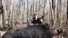 Toto behalo po lesoch! Kapitálna divá sviňa