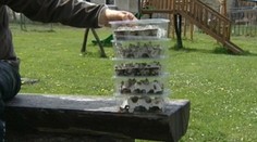 Drobné zvieratá, veľký biznis