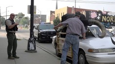 GALÉRIA: Policajti sa nestačili čudovať. Je to člen rodiny, bránil vodič nezvyčajného spolujazdca