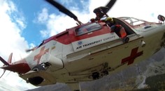 Osy sú stále agresívne. Slovenke doštípali tvár