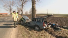 Za Šuranmi vletel Srb (†63) do stromu. Urobil chybu, z ktorej sa môžu ostatní poučiť