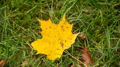 Vzduch zohrejú slnečné lúče. Pred nami je pekný deň bez dažďa