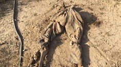 Úrady začnú s exhumáciou zrejme najväčšieho masového hrobu v krajine