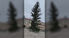 Patálie s vianočným stromom v Banskej Bystrici. Osadili už tretí v poradí