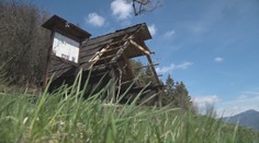 Ako ich napadlo použiť toto drevo na opekanie? Vandali zničili dielo nadšencov z Vlkolínca