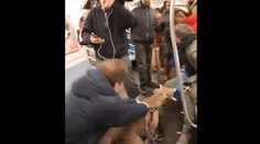 VIDEO: Desivý incident v metre. Pitbul sa zahryzol do ženy a trhal