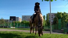 Kôň ako vyučovacia pomôcka: Na hodiny biológie sa teší aj riaditeľka školy