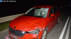 Vodič pri zakázanom predbiehaní zrazil chodca. Zraneniam podľahol