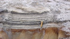 V Grónsku objavili najstaršiu DNA. Vďaka nálezu vznikol obraz krajiny starej dva milióny rokov