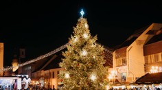 Slováci rozhodli, ktoré mesto má najkrajší vianočný stromček. Súboj o prvé miesto bol mimoriadne tesný