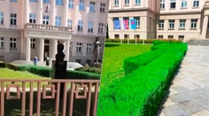 Natreli vyschnutý ker nazeleno. Pamiatkari popreli tvrdenie Matice slovenskej