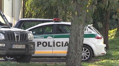 Pri Humennom strom privalil pilčíka (†43)