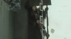 Najznámejší ľudoop Kiran už nie je v bojnickej zoo