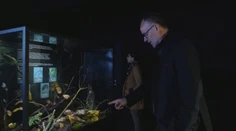 Nová atrakcia v parížskej zoo: Unikátny organizmus má 700 pohlaví a prežije aj v mikrovlnke