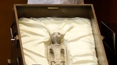 VIDEO: Majú len tri prsty a dlhú lebku. V Mexiku vystavili pozostatky bytostí, ktoré vraj nemajú ľudský pôvod