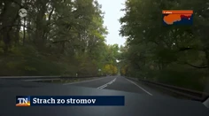 Strach zo stromov