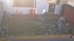 Kamery zachytili brutálneho tyrana: Odhodil a dokopal svoje šteniatko