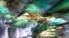 Je to nádhera: Uhádnete, na čo sa pozeráte?