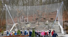 Zoologické záhrady opäť ožijú. Prichádza prvé uvoľnenie opatrení