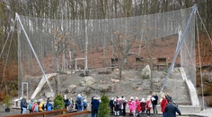 Zoologické záhrady opäť ožijú. Prichádza prvé uvoľnenie opatrení