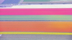 Na prvý pohľad to vyzerá ako obraz. Pozrite sa, čo vytvorilo túto nádheru