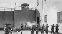 Trest smrti za výrobu falošných potravín? V jednej krajine to bude platiť ešte pol roka