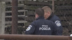 Mal ju udrieť, zabaliť do koberca a hodiť do žumpy. Verzia druha nebohej Ingrid (†53) polícii nesedí