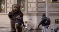 Newyorčanov vystrašil na ulici agresívny grizly