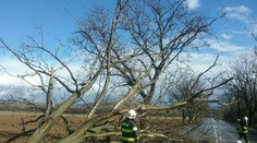 Pre veterné počasie zasahovali hasiči v sobotu 24-krát. Najhoršie je na tom Prešovský kraj