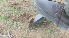 Nad farmármi opäť visí hrozba sucha. Klimatológ naznačil, či sa dočkáme zrážok