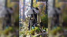 Tragická dopravná nehoda: V trnavskom kraji zomrel mladík (†20). Auto viselo na strome