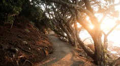 Čaká nás krásne počasie neskorého leta