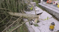 Na Kysuciach vyvalil silný vietor desiatky stromov, zničené zostali aj pomníky na cintoríne