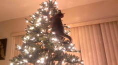 Vianoce vedia byť aj poriadne komické