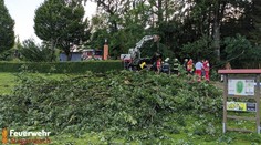 Na mikrobus v Rakúsku počas búrky padol strom, zomreli traja muži. V aute sedelo aj dieťa