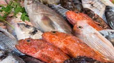 Celosvetová spotreba rýb dosiahla rekordne vysokú úroveň