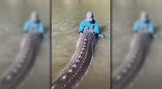 Kanadský rybár sa pochválil životným úlovkom. Prehistorický kolos mal takmer 4 metre a vážil štvrť tony