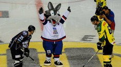 Je to oficiálne! V roku 2019 budú majstrovstvá v hokeji u nás