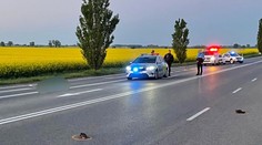 Chôdza bez reflexných prvkov ho stála život. Po zrážke s autom zomrel pri Galante 26-ročný muž