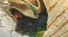 Z tohto by prešla chuť do jedla každého. Ďalší otrasný nález v jedle