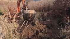 Za prívalové dažde aj extrémne suchá si môžeme sami. Ukážeme vám, ako sa dá voda v lesoch zadržať