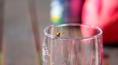 Po bodnutí osou skončil v nemocnici. O štyri dni ho zaskočila otázka zdravotnej poisťovne