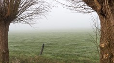 Zelené Vianoce, biela Veľká noc. Zdá sa, že sa táto pranostika stane skutočnosťou