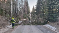 FOTO a VIDEO: Slovensko čelí veternej smršti: Popadané stromy a domácnosti bez elektriny