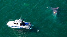 Mal to byť obyčajný zoskok z lietadla, zmenil sa na boj o život