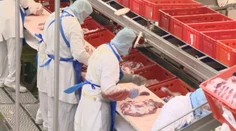 Firmy chcú prijať cudzincov, Pellegrini im prisľúbil pomoc