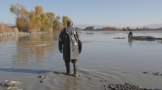 Sucho narobilo problémy rybárom: Ohrozený je už aj výlov vianočného kapra